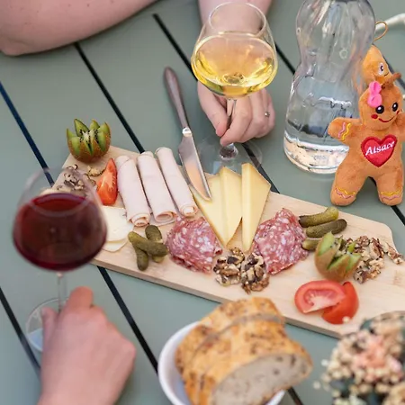 Novotel Centre Hotel Colmar