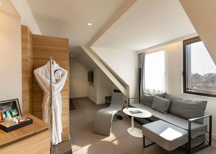 نوفوتيل سويتس سنتر كولمار