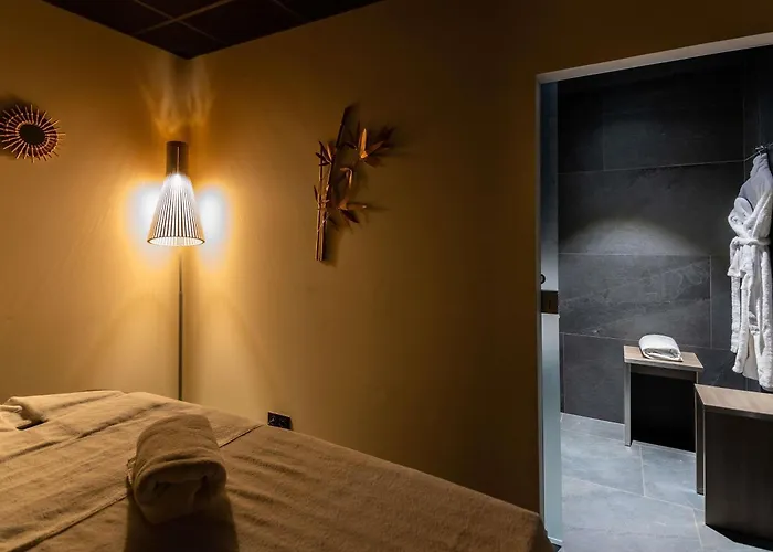 Novotel Centre Hotel Colmar